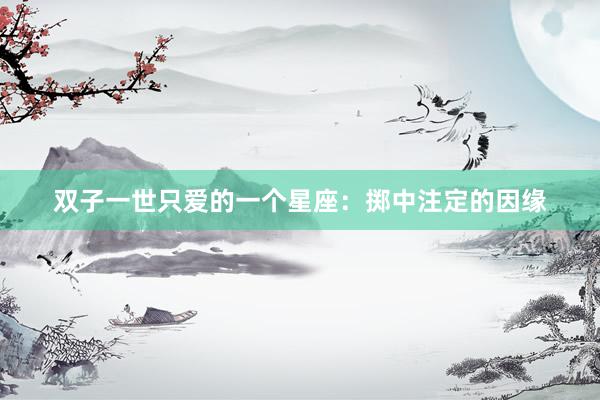 双子一世只爱的一个星座：掷中注定的因缘