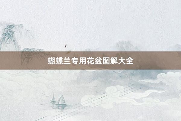 蝴蝶兰专用花盆图解大全