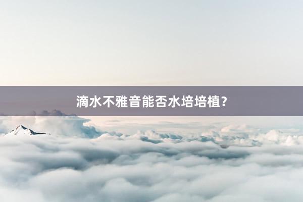 滴水不雅音能否水培培植？