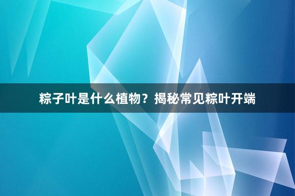 粽子叶是什么植物？揭秘常见粽叶开端