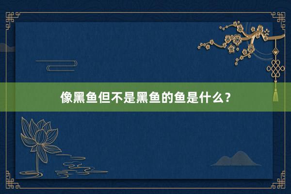 像黑鱼但不是黑鱼的鱼是什么？